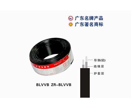 BLVVB ZR-BLVVB珠江電纜 BLVVB ZR-BLVVB珠江電纜